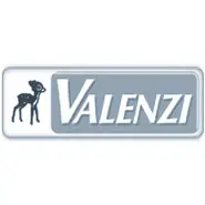 Logos_taubengrau_0006_valenzi.webp